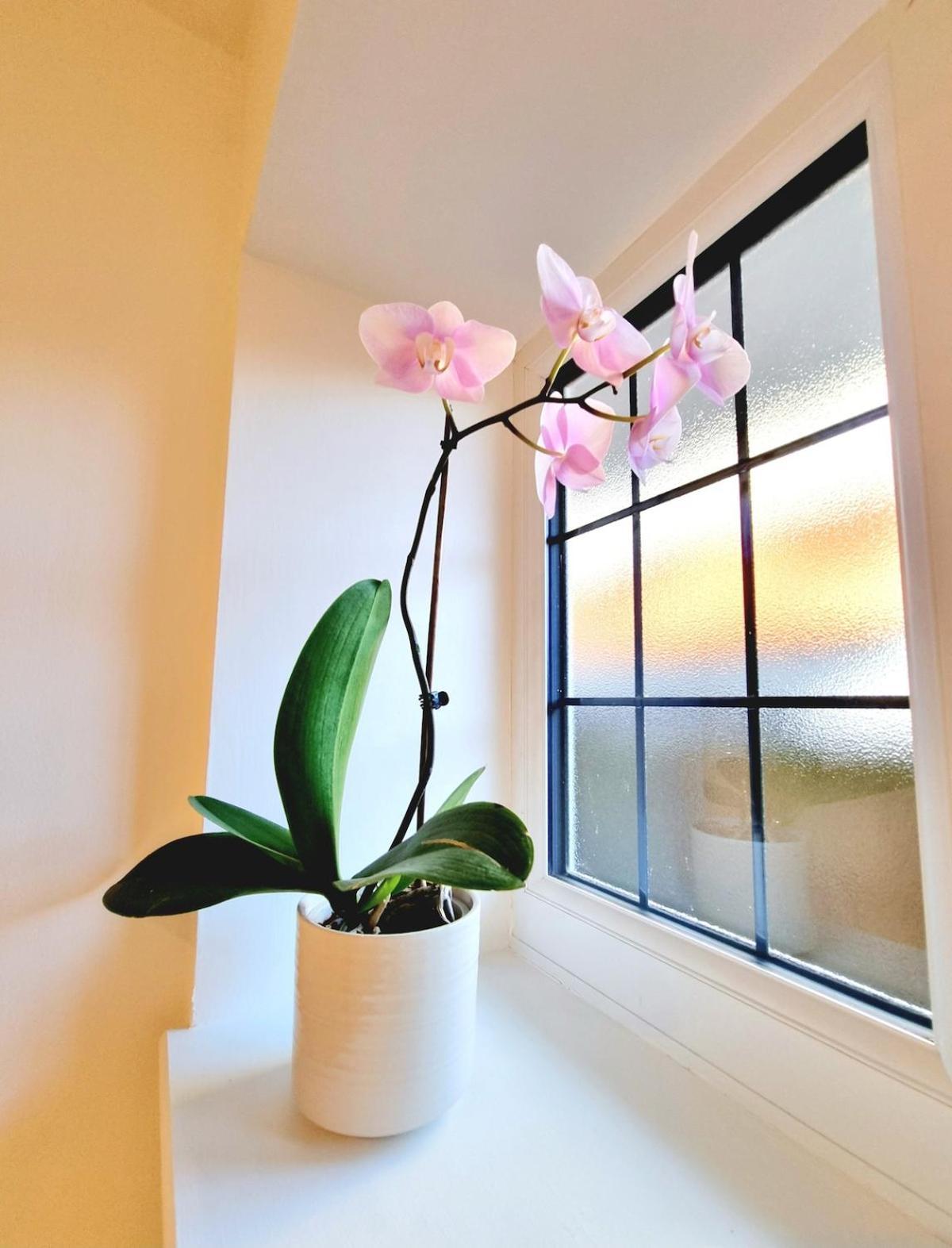 Private Self-Contained Place Bournemouth Luaran gambar